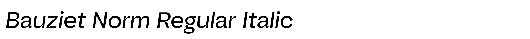 Bauziet Norm Regular Italic image